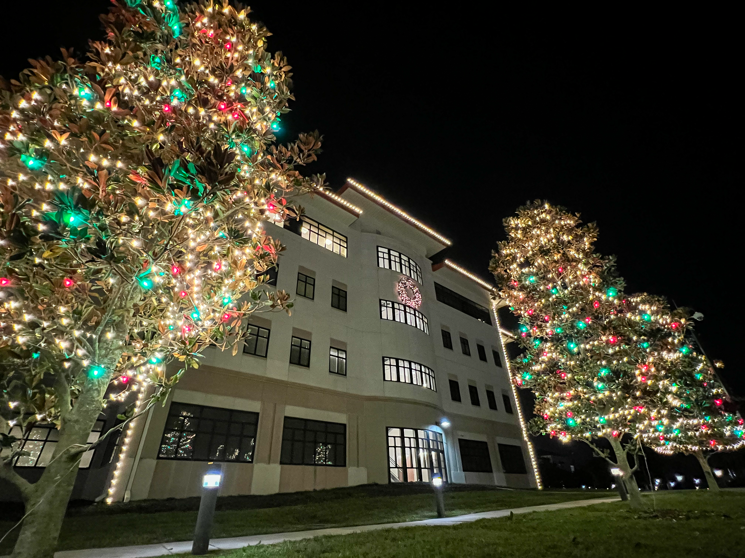 Luxurious Outdoor Holiday Lighting for Tampa’s Premier Businesses